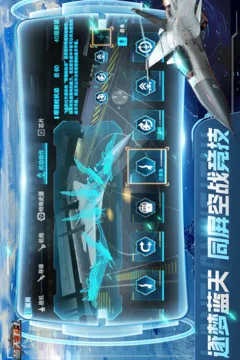 蓝天卫士游戏截图