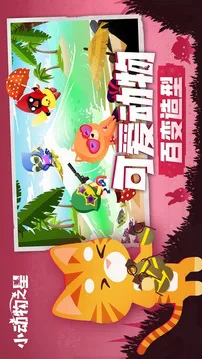 小动物之星游戏截图