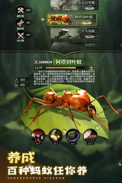 小小蚁国游戏截图